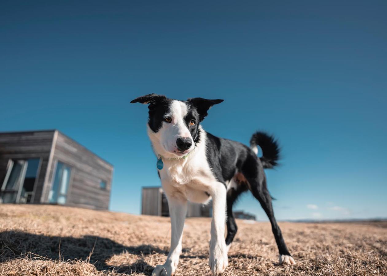 Heima Holiday Homes Selfoss Ngoại thất bức ảnh